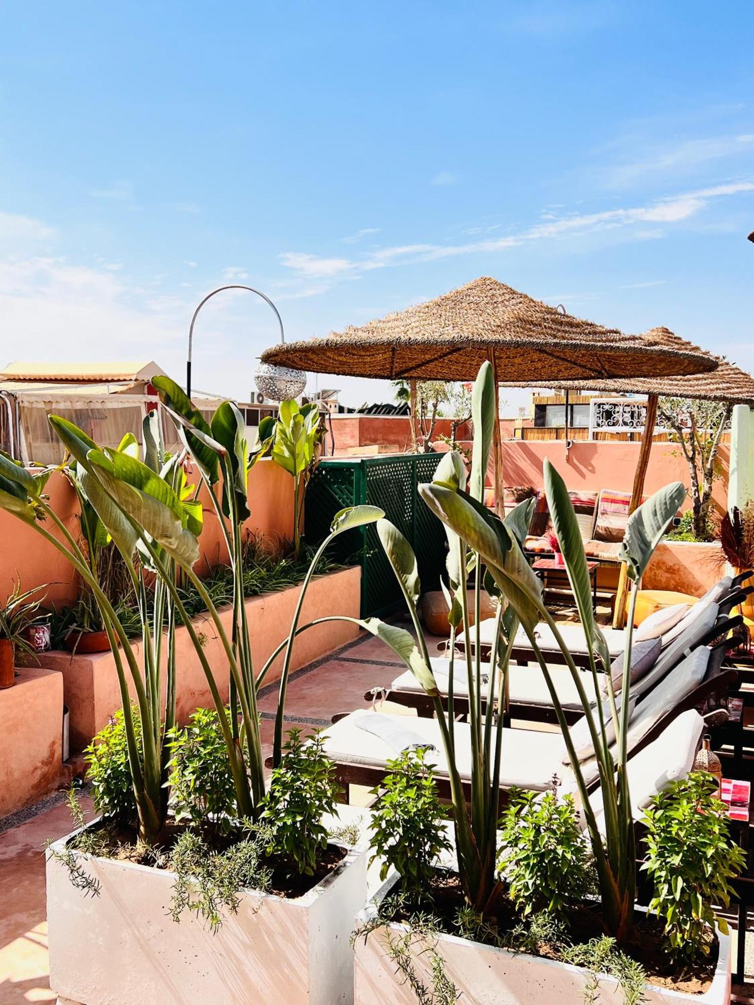 11 Zitoune Marrakesch